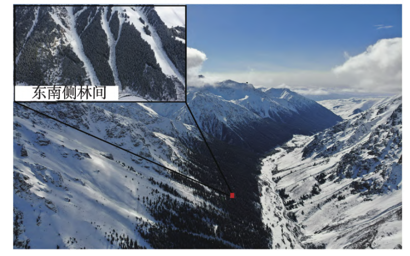 基于空-地协同调查的西天山阿尔先沟雪崩过程数值模拟